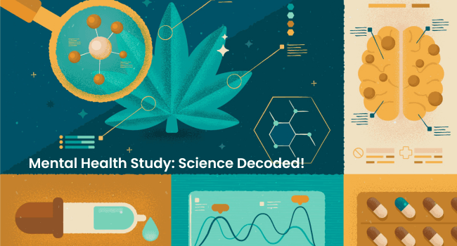 Cogitation, Mental Health Insights, Cannabis Use After Psychosis